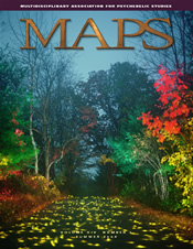 MAPS Bulletin Summer 2004 Front Cover - Dean Chamberlain - Psychedelic Art